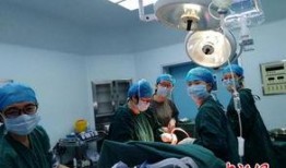 新闻爆料胚胎事件视频,揭秘背后惊人真相