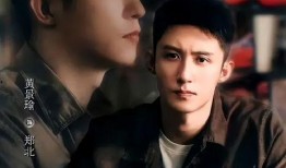 电视剧上瘾在线观看,沉浸式追剧体验，揭秘网络成瘾背后的故事