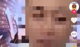 爆料狗仔带货视频大全,揭秘明星网红带货背后的秘密