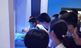 宁阳研学事件爆料视频,揭秘校园安全与教育监管的隐忧