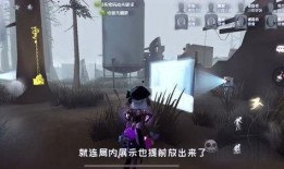 守夜人金皮爆料原视频