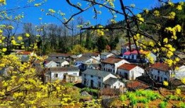 乡村里的中国在线观看,探寻传统与现代交融的美丽画卷