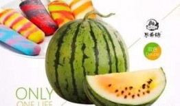 濮阳网红吃瓜事件视频,一场网络狂欢背后的真相揭秘