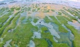 昌江新闻爆料最新消息视频,视频揭露惊人内幕！