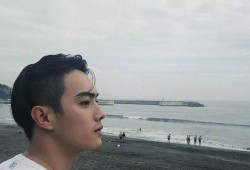 娱乐圈爆料许凯,娱乐圈新恋情引发热议