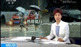 信宜最新爆料新闻视频下载,视频揭秘事件真相，详情曝光！