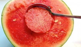 被人吃瓜的网红有哪些,盘点那些被热议的“瓜王”