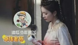 娱乐每日爆料白鹿,娱乐每日爆料揭秘幕后故事