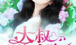 平安大叔爆料娱乐圈小说