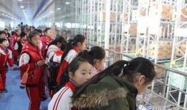 宁阳研学事件爆料视频,揭秘校园安全与教育监管的隐忧