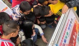 云南小学爆料事件视频最新,真相揭开，家长震惊不已