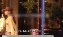 越南狗仔爆料视频大全,揭秘娱乐圈幕后真相