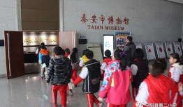 宁阳研学事件爆料视频,揭秘校园安全与教育监管的隐忧