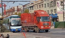 杞县西陵车祸最新爆料,悲剧现场细节披露，事故原因调查深入