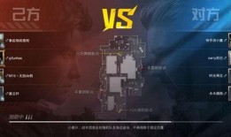 和平精英视频爆料大全最新