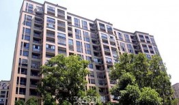 芜湖融创爆料最新事件,揭秘项目进展与争议焦点