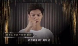 张柏澜爆料视频大全集在线观看,揭秘娱乐圈不为人知的一面