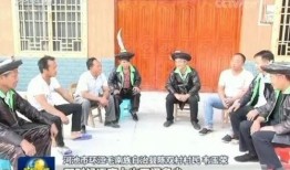 环江欧保尔新闻爆料视频,揭秘事件背后真相