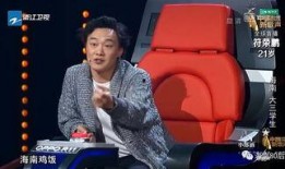 张静爆料任家忠视频,真相与争议交织