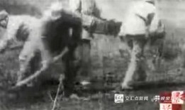 南泥湾电影在线观看,重温红色记忆，传承革命精神